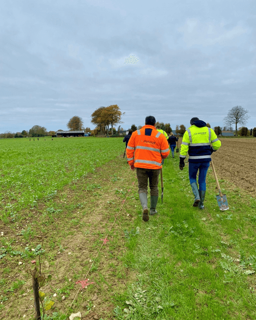 Plantations-carbolocal